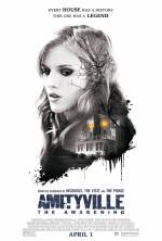 Cartaz do filme Amityville: O Despertar