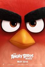 Cartaz do filme Angry Birds