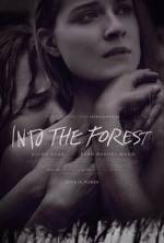 Cartaz do filme No Escuro da Floresta