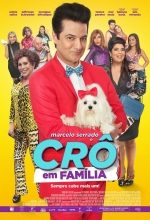 Cartaz oficial do filme Crô em Família