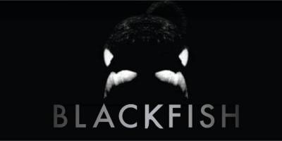 Blackfish | O Sea World que ninguém vê