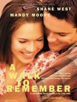 Cartaz do filme Um Amor para Recordar