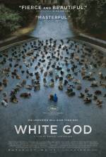 Cartaz do filme White God