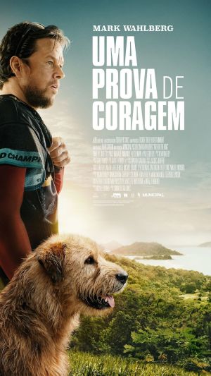 Cartaz do filme Uma Prova de Coragem