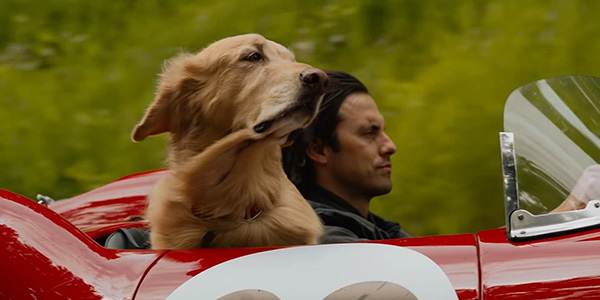 Imagem do filme Meu Amigo Enzo