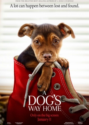 Cartaz oficial do filme A Dog's Way Home