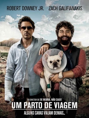 Cartaz do filme Um Parto de Viagem