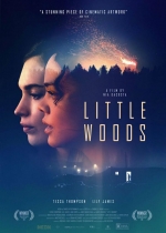 Cartaz oficial do filme Little Woods (2018)