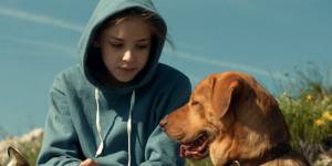 Crítica do filme White God | O mês do cachorro louco levado a sério