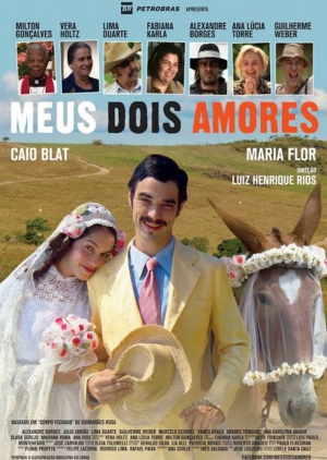 Cartaz oficial do filme Meus Dois Amores 