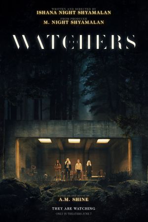 Cartaz do filme Os Observadores