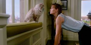 Crítica do filme Virei um Gato | House of Cats