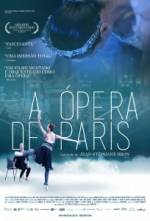 Cartaz do filme A Ópera de Paris