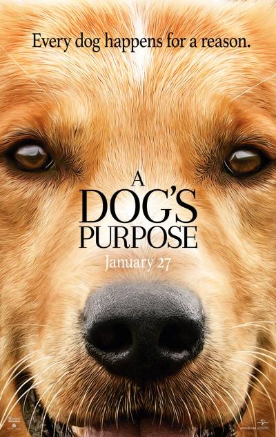 Quatro Vidas de Um Cachorro | Trailer legendado e sinopse