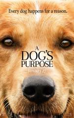 Cartaz do filme Quatro Vidas de Um Cachorro