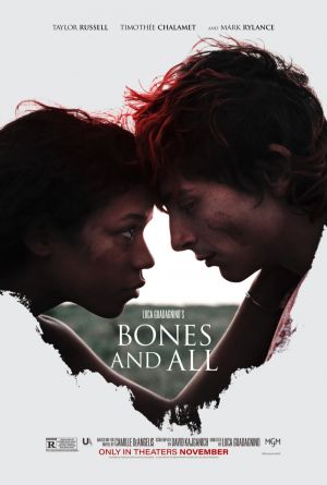 Cartaz do filme Até os Ossos