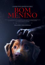 Cartaz do filme Bom Menino