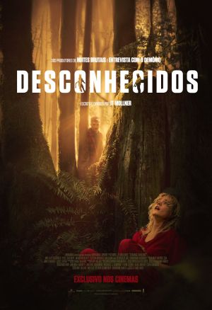 Cartaz do filme Desconhecidos