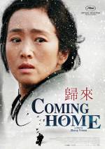 Cartaz do filme Voltando para Casa