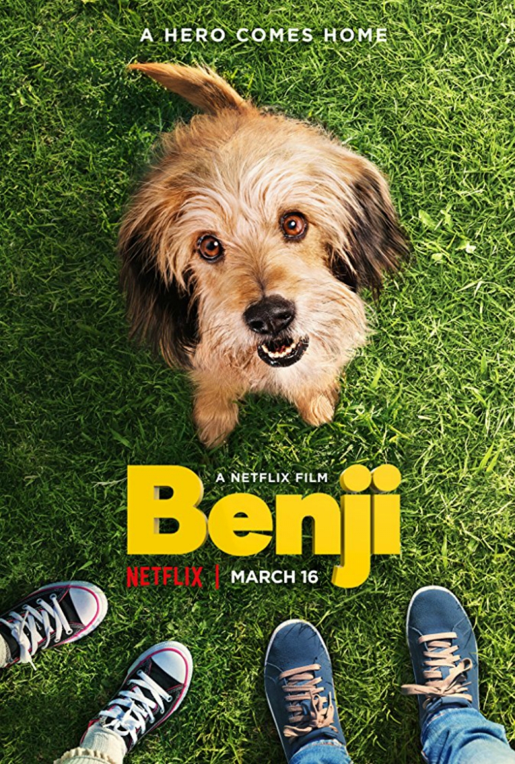 Qui A Gagner Benji Ou Dylan