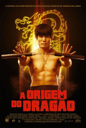 Cartaz do filme A Origem do Dragão
