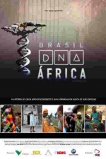 Cartaz oficial do filme Brasil: DNA África
